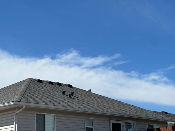 Best Roof Maintenance and Cleaning  in Cambridge Springs, PA